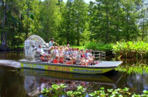 11 Best Everglades Airboat Tours Worth the Money