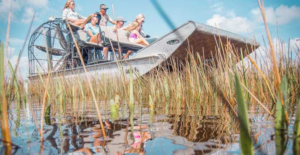 Top 6 Things to Do in the Everglades | 2023