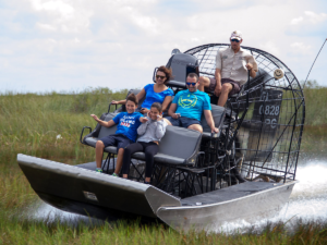 Top 7 Things to Do in the Everglades