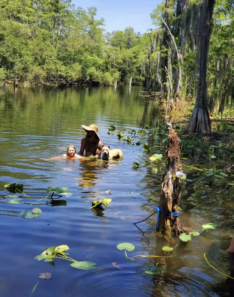 Person in the water of a cypress-lined Everglades canal