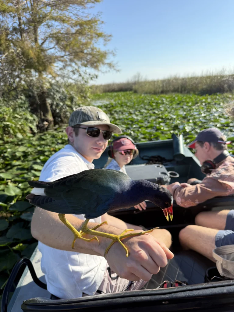 Guests seated on an airboat surrounded by lily pads in the Everglades