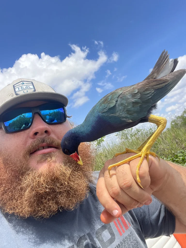 Captain Greg Mislow with a purple gallinule standing on his hand in the Everglades